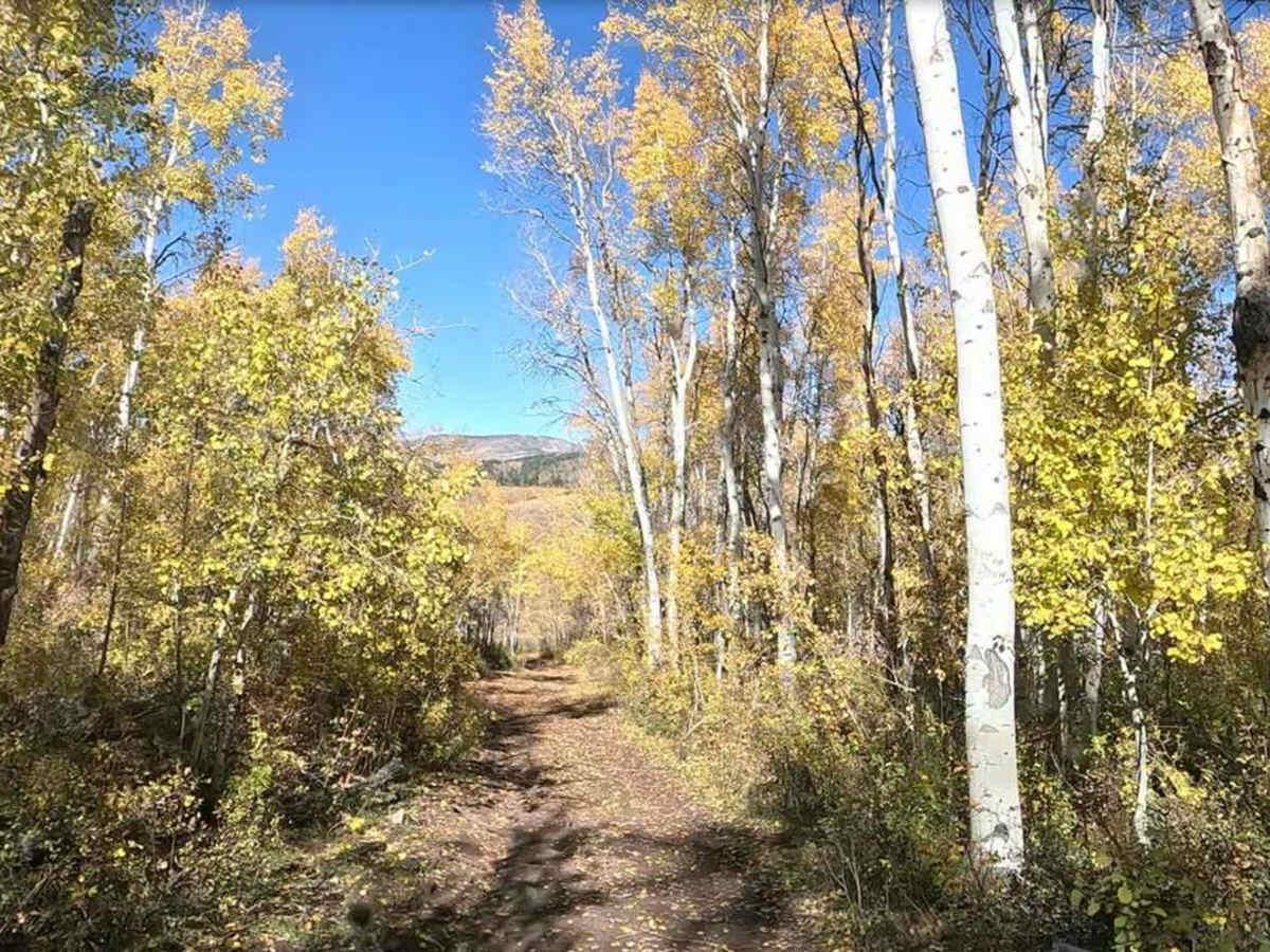 FS 80200 Cedar Hollow North 1 photo 4