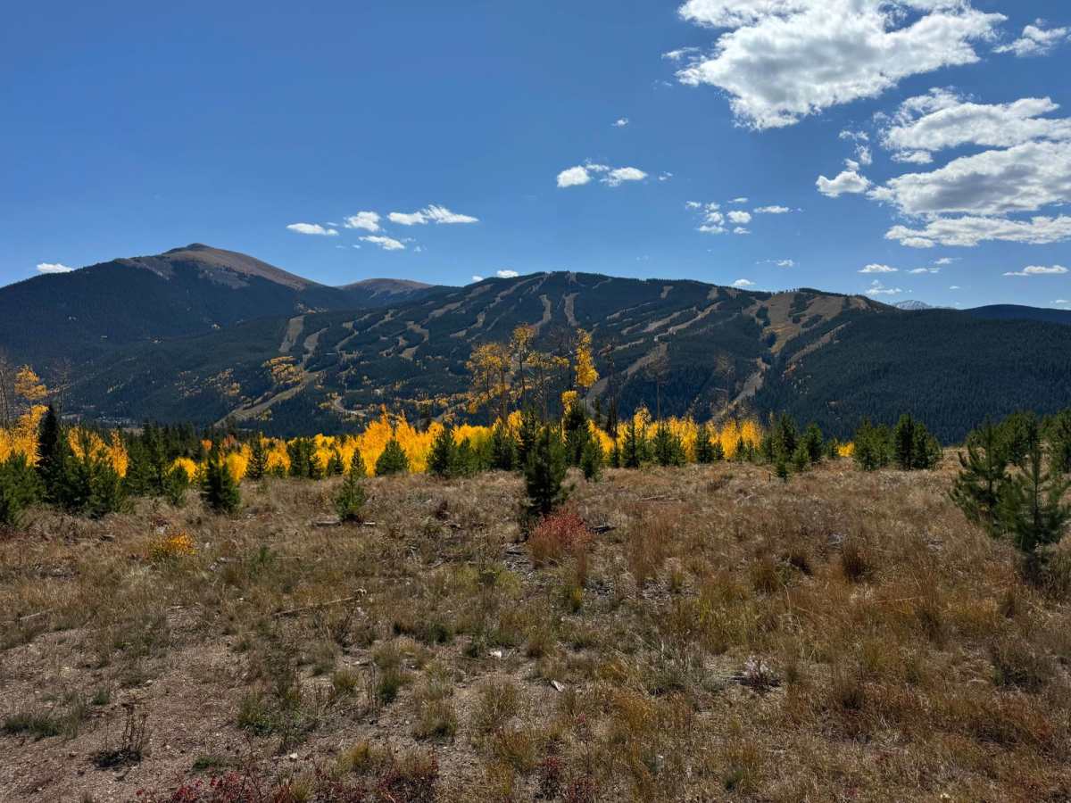 Frey Gulch Road trail photo