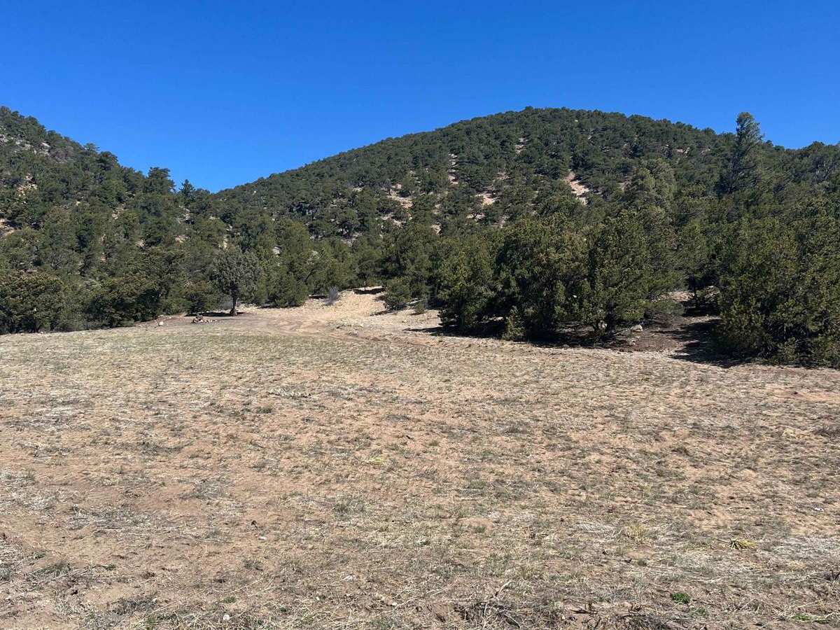 Ute Trail photo 4