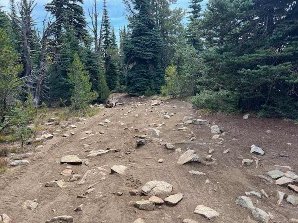 Manastash Trail West photo 5