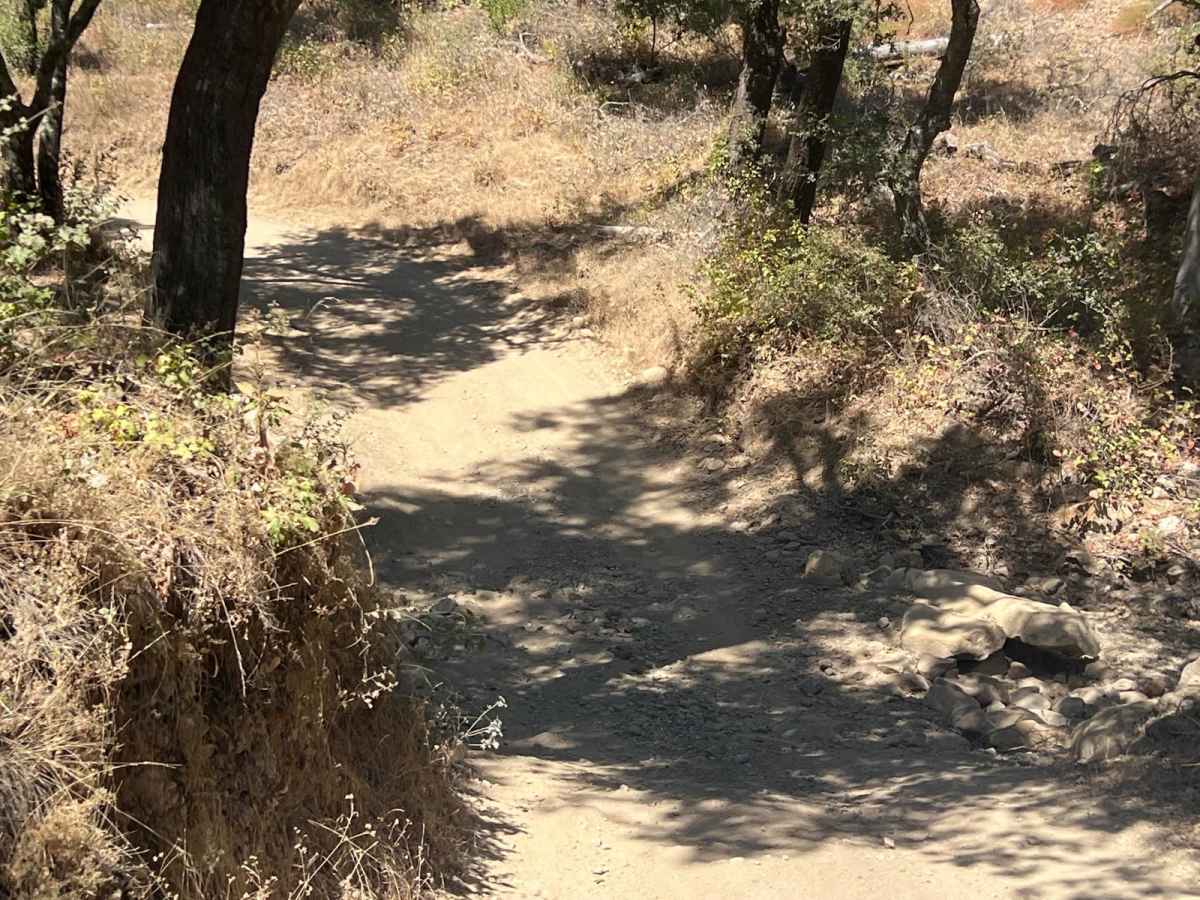 Hi Mountain Road photo 4