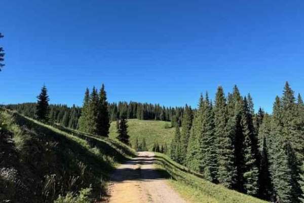 Elbert Creek Road