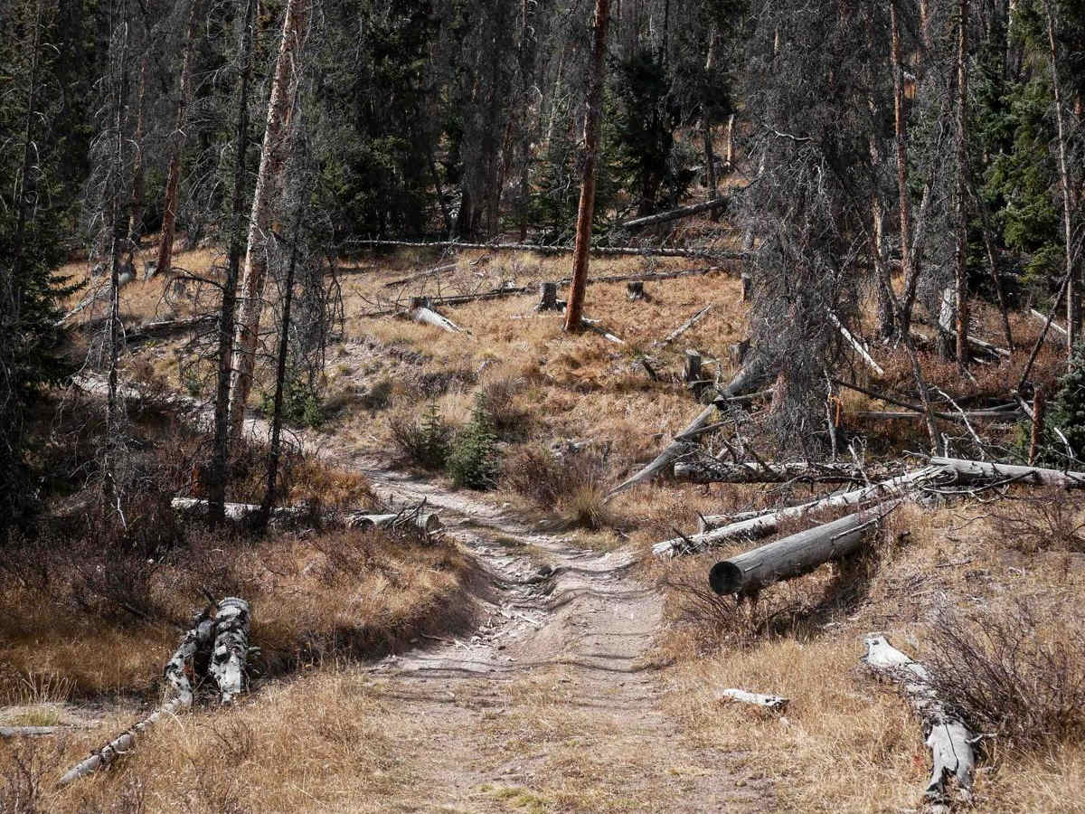 West Alder ATV 798  photo 6