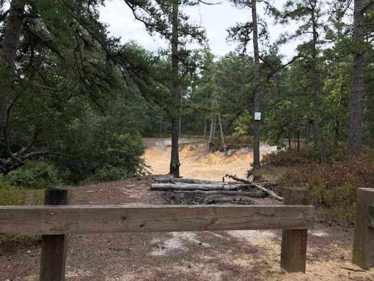 Stokes Trail photo 6