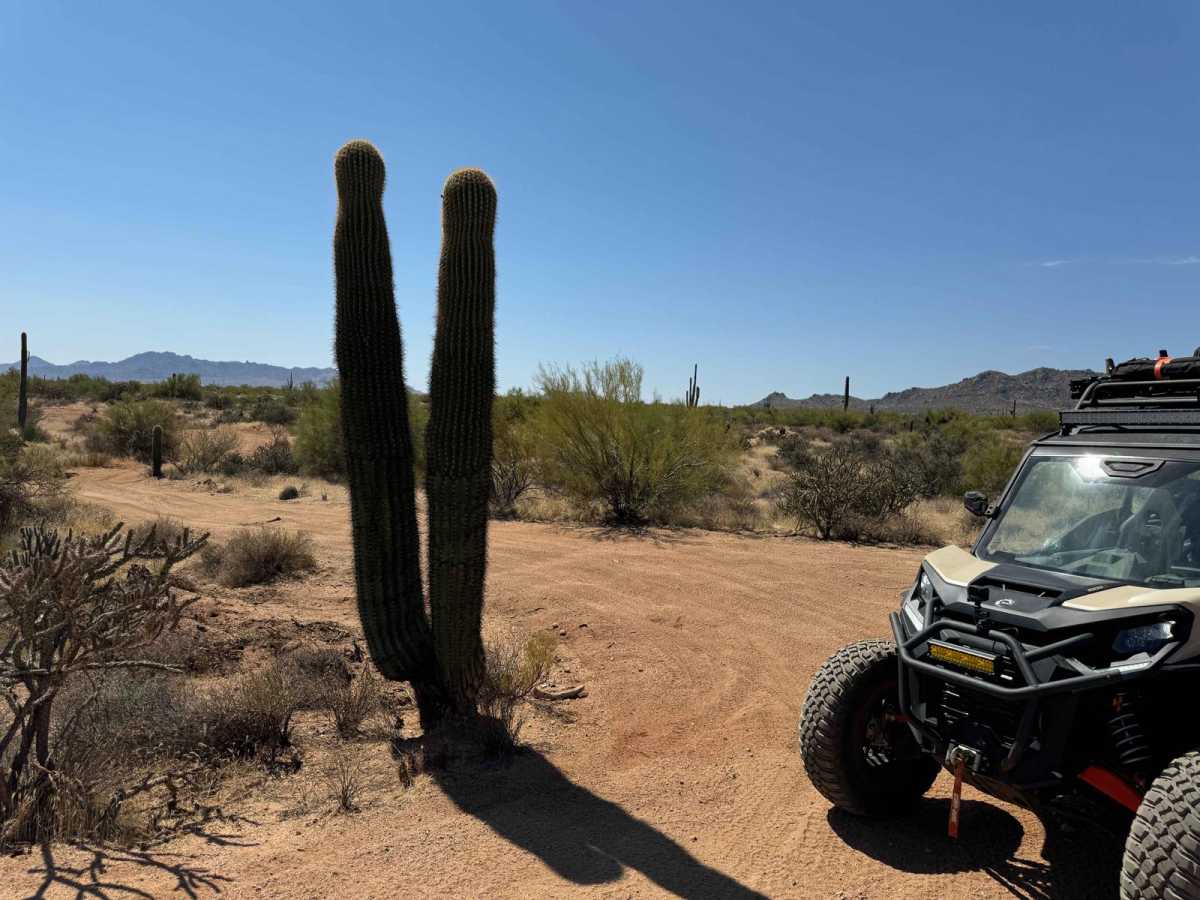 Entrance Trail to the Tonto National Forest Desert Vista OHV photo 3