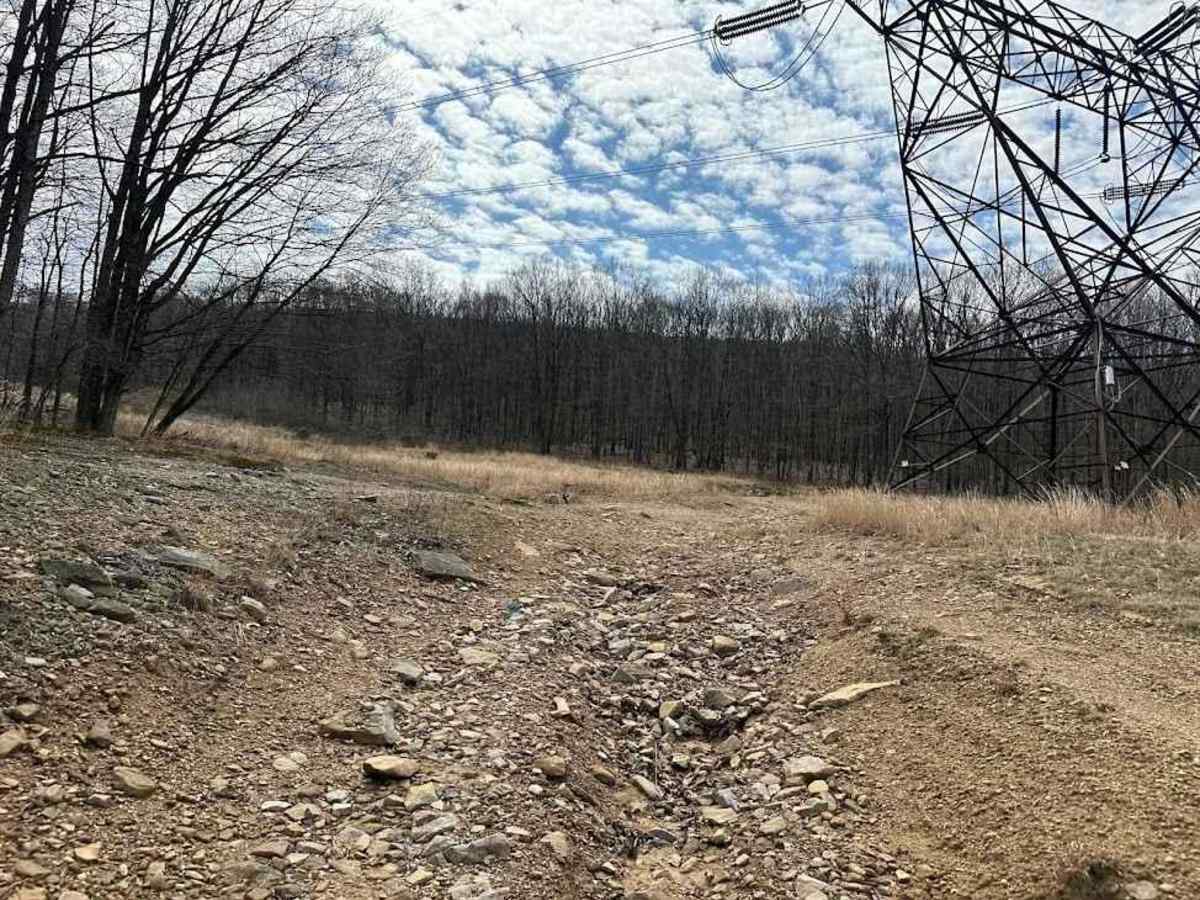 Ashland 133 trail photo