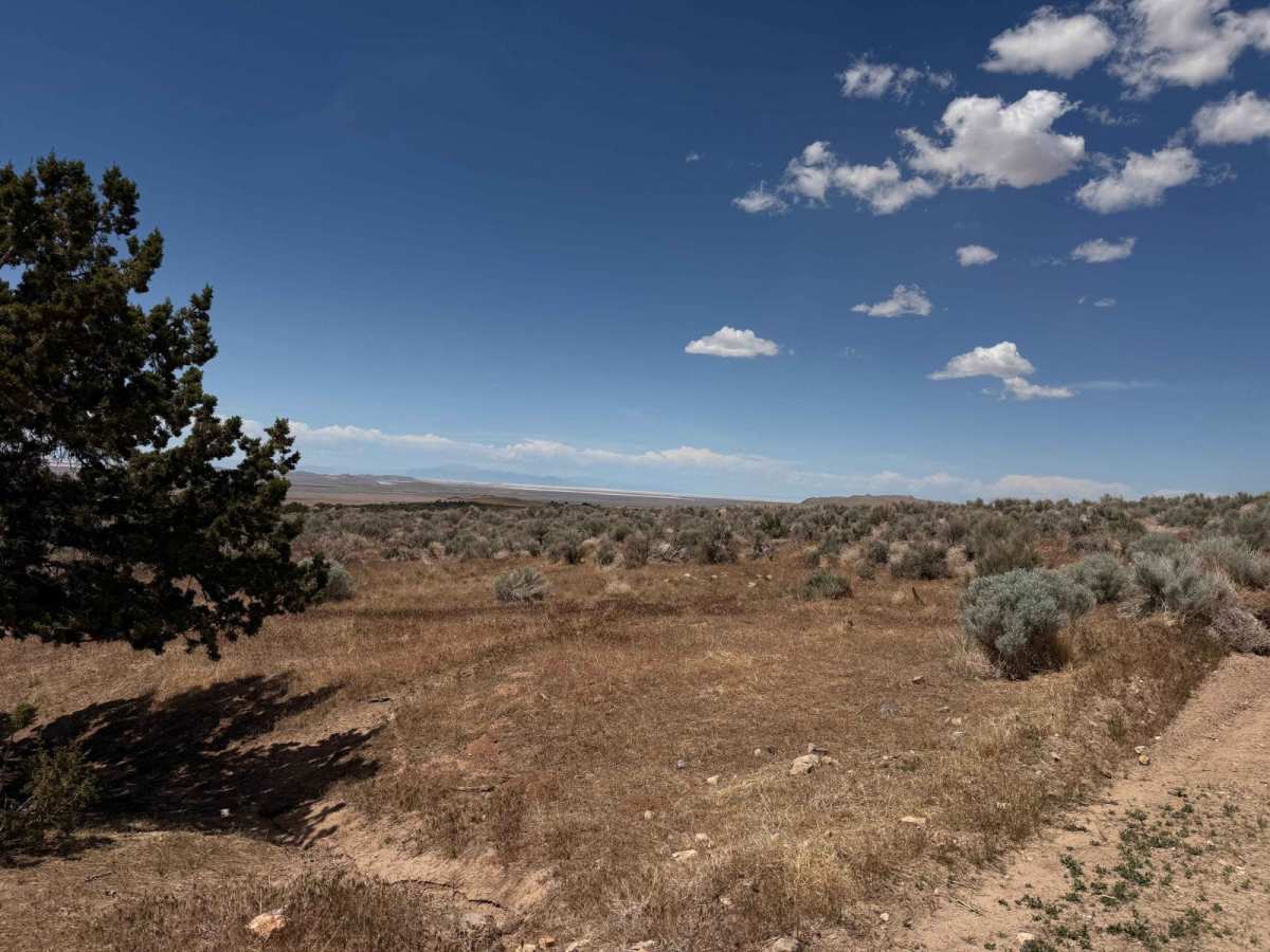 Cedar Mountain West photo 2