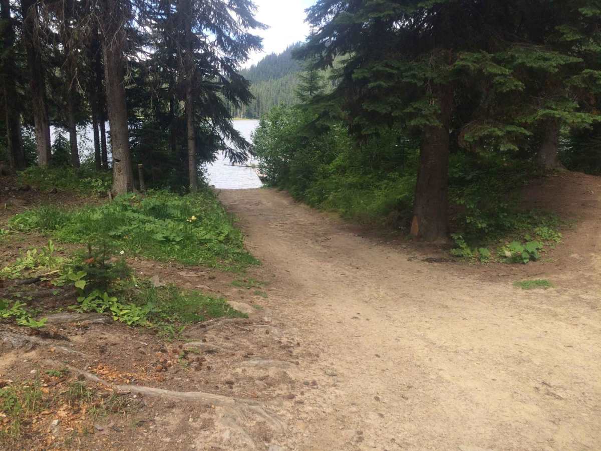 Bisson Lake photo 3