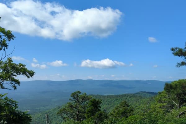Blue Mountain 6009 - Blue Mountain Tower 7354