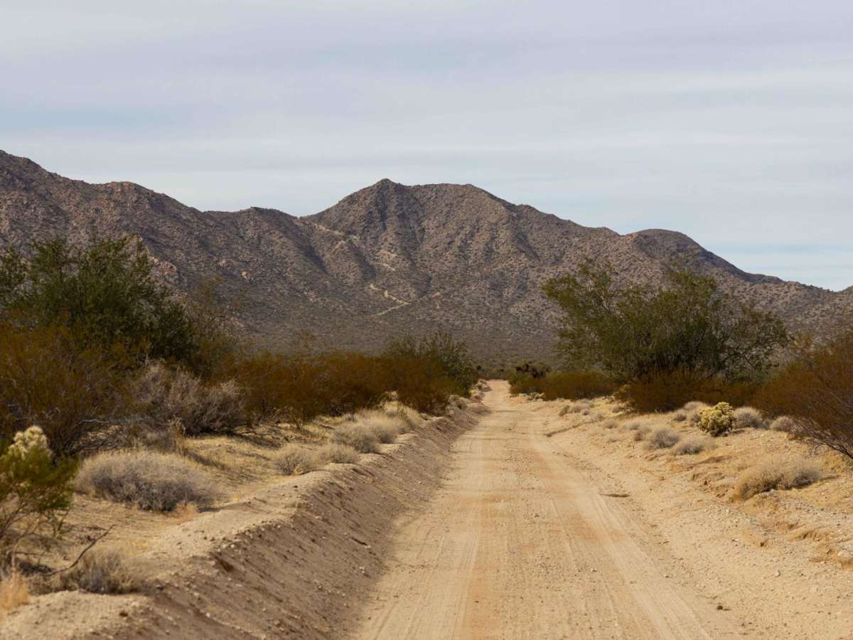 Bonanza Mine photo 5