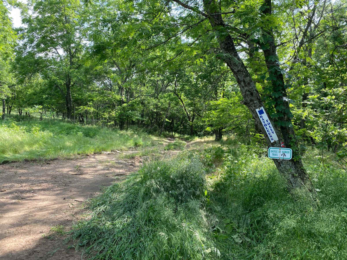 Kathleen's Folly trail photo