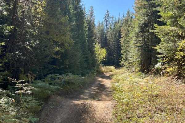 USFS 8234 Mid-Section
