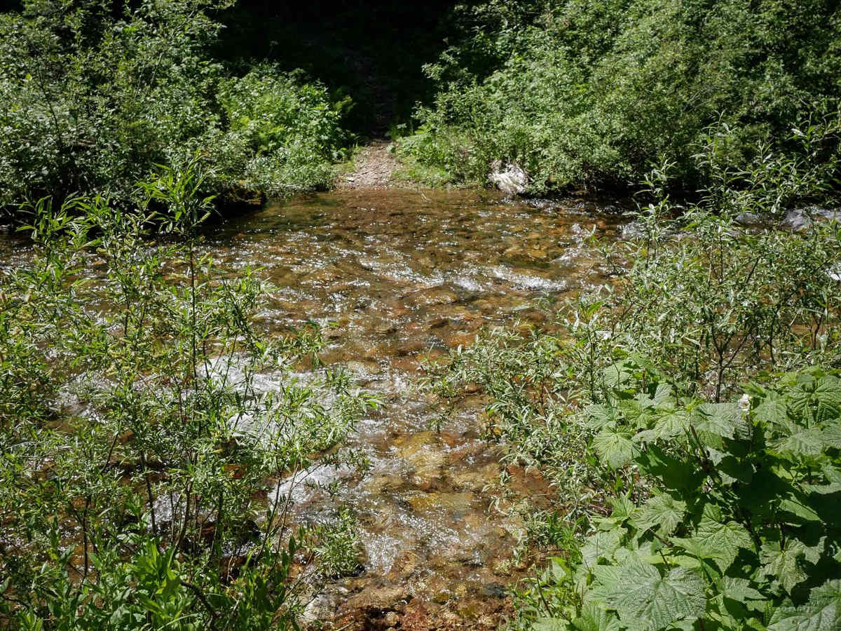 Bear Creek trail photo