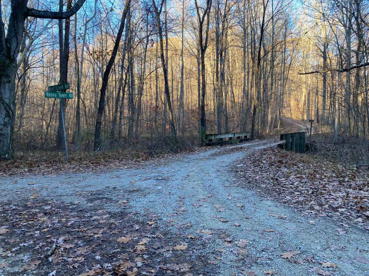 Wolf Creek Road photo 4