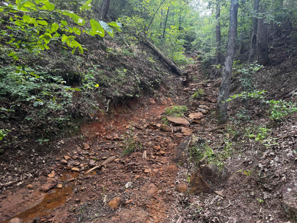 Venom Loop photo 6