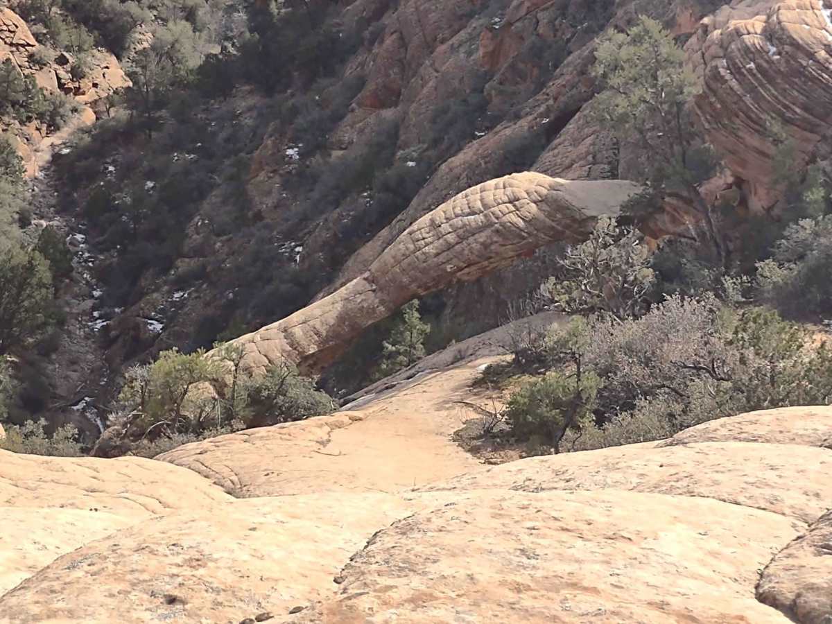 Leeds-Cottonwood Elephant Skin Canyon photo 2