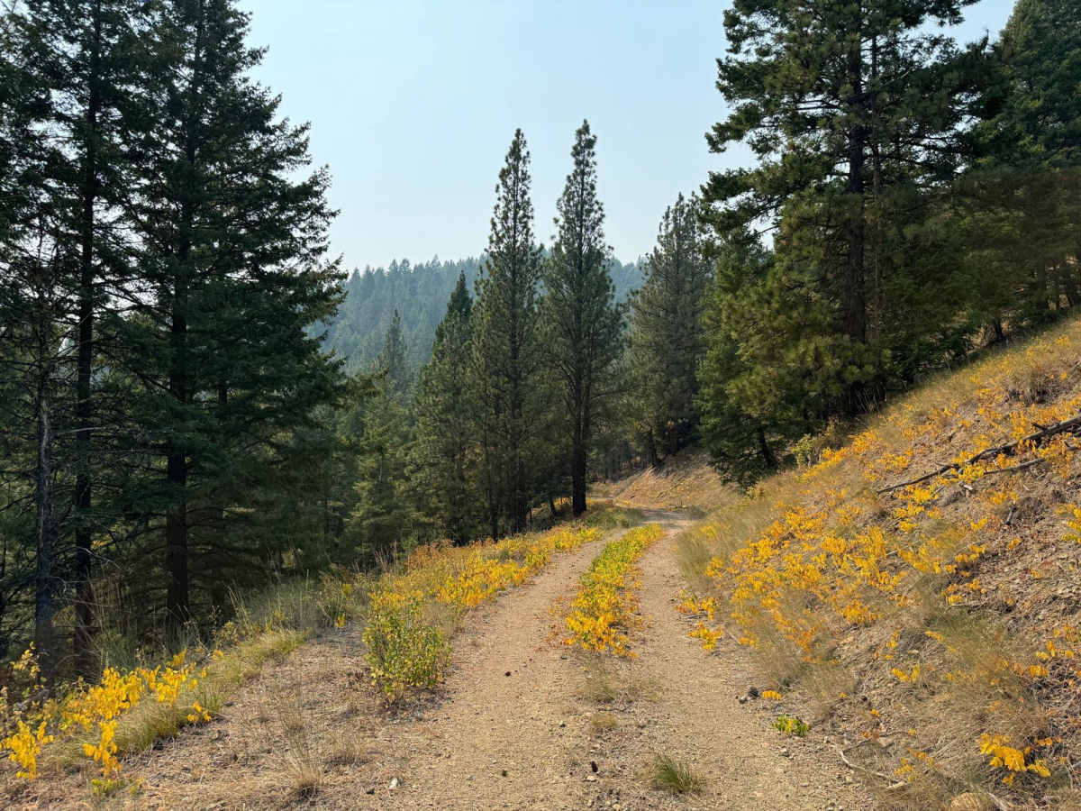 Burnt Ridge photo 6