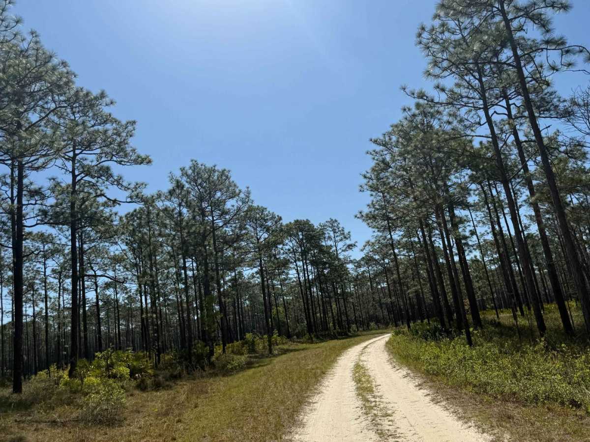 Rowletts Creek - FS 106S photo 3