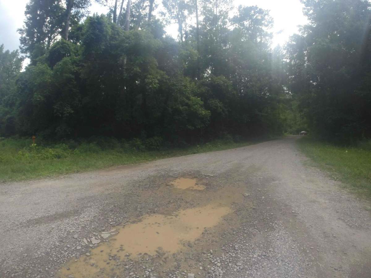 Manning Mill Road - Forest Road 227 photo 3