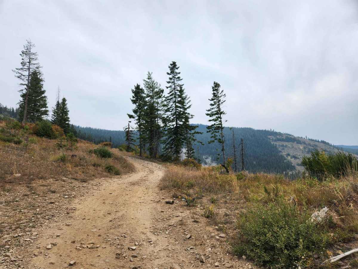 Twin Crags Road photo 6