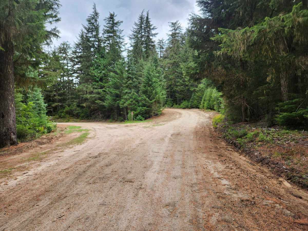 Smith Creek of Boundary County photo 4