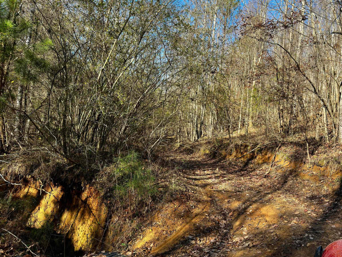 509 trail photo