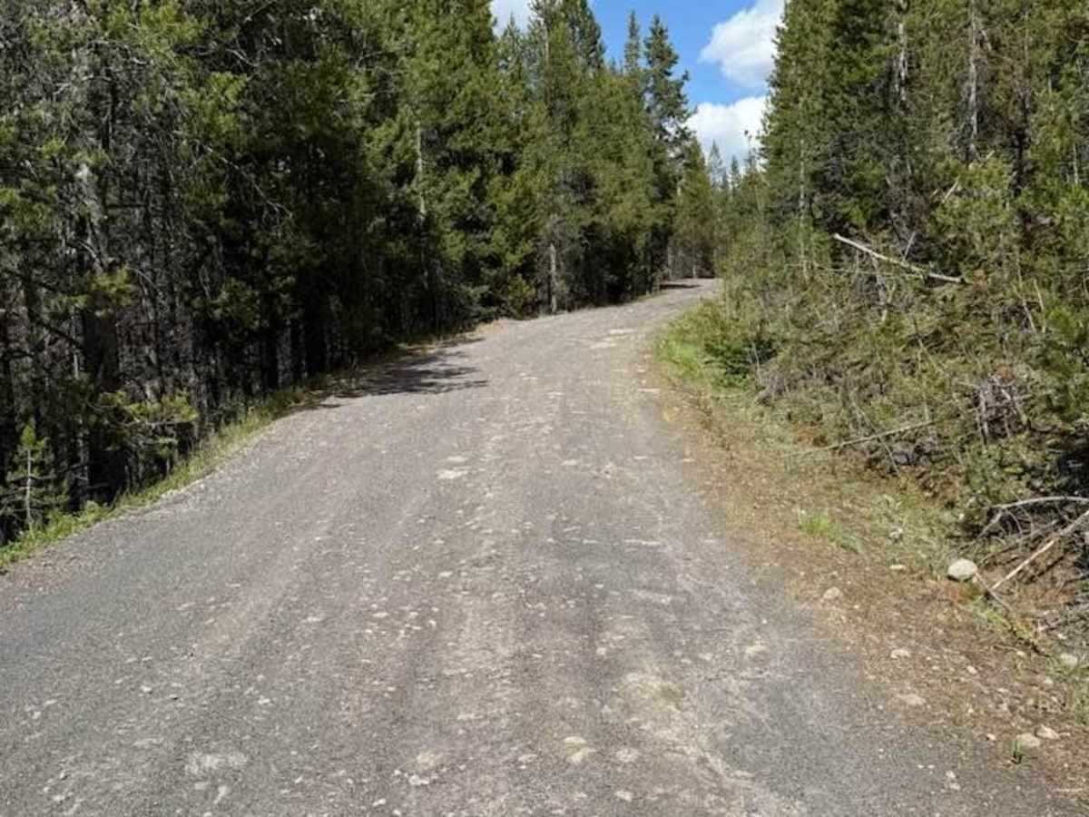 Frog Pond Road photo 5