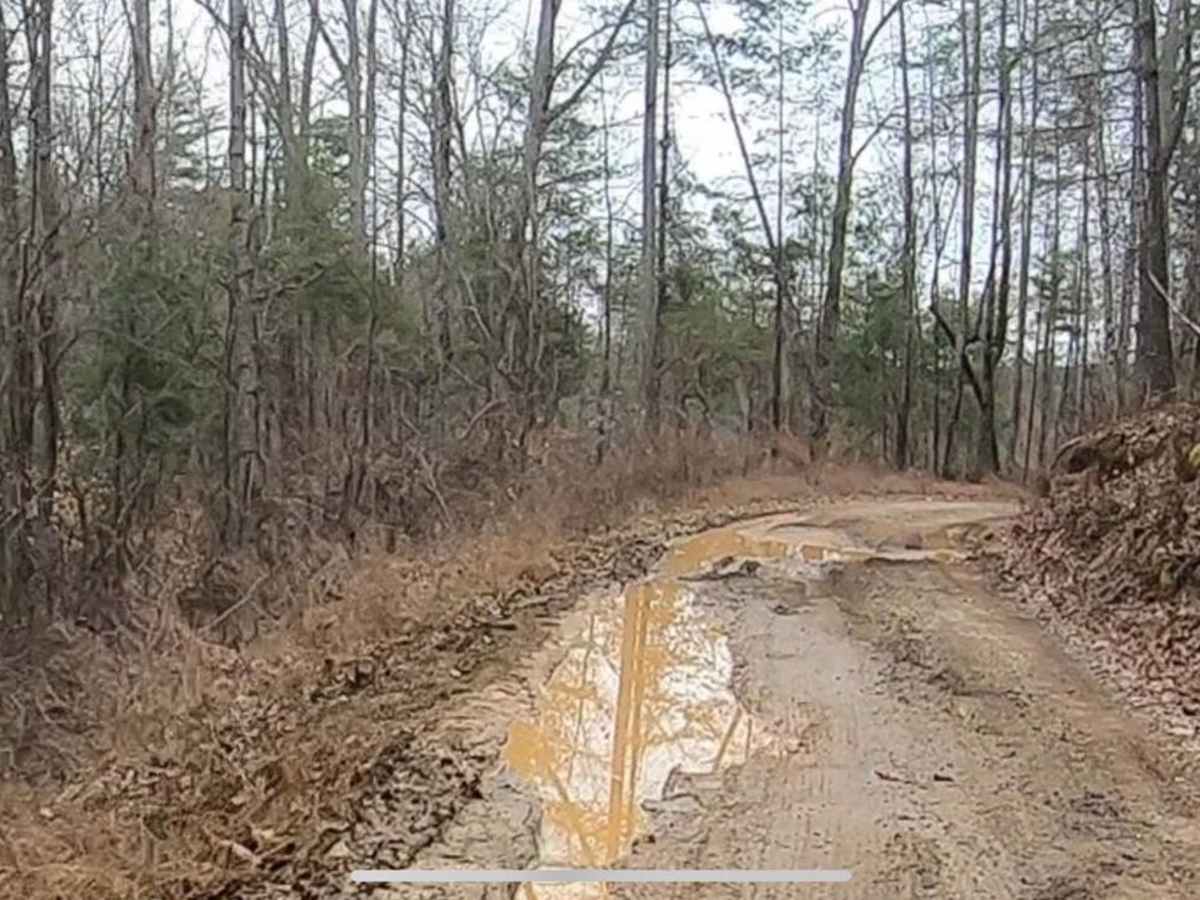 East Sylco Ridge photo 3