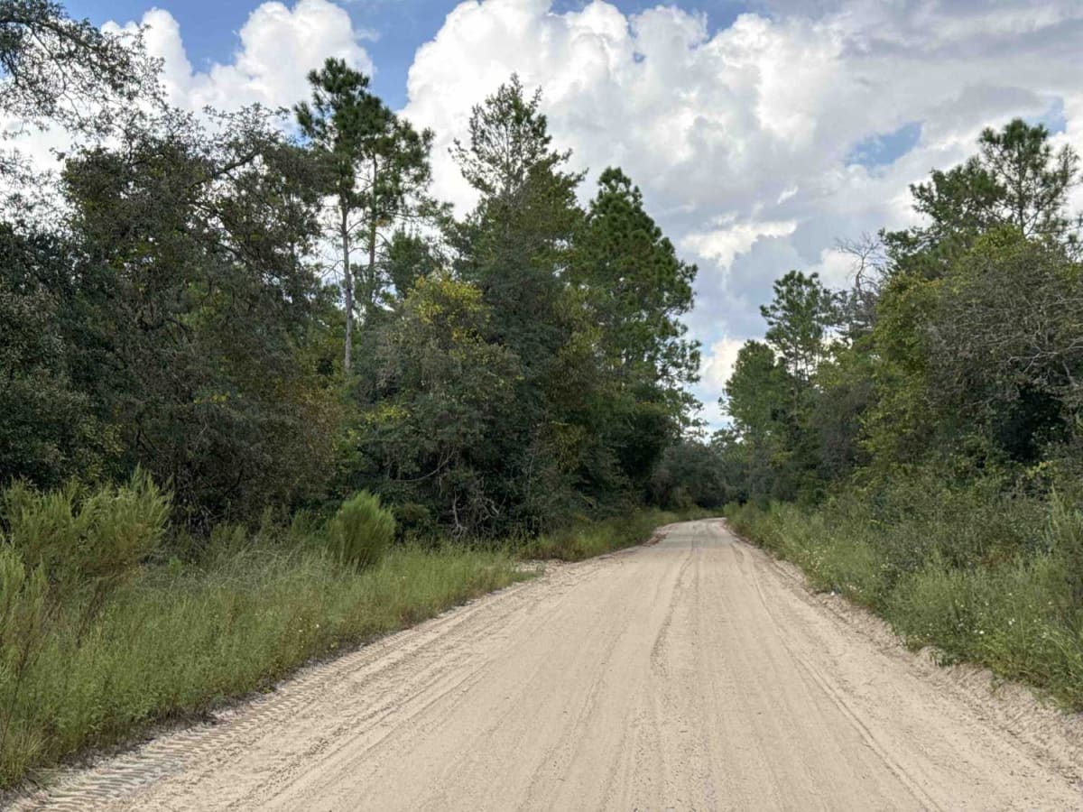 Railroad Grade Trail - ONF 57 photo 6