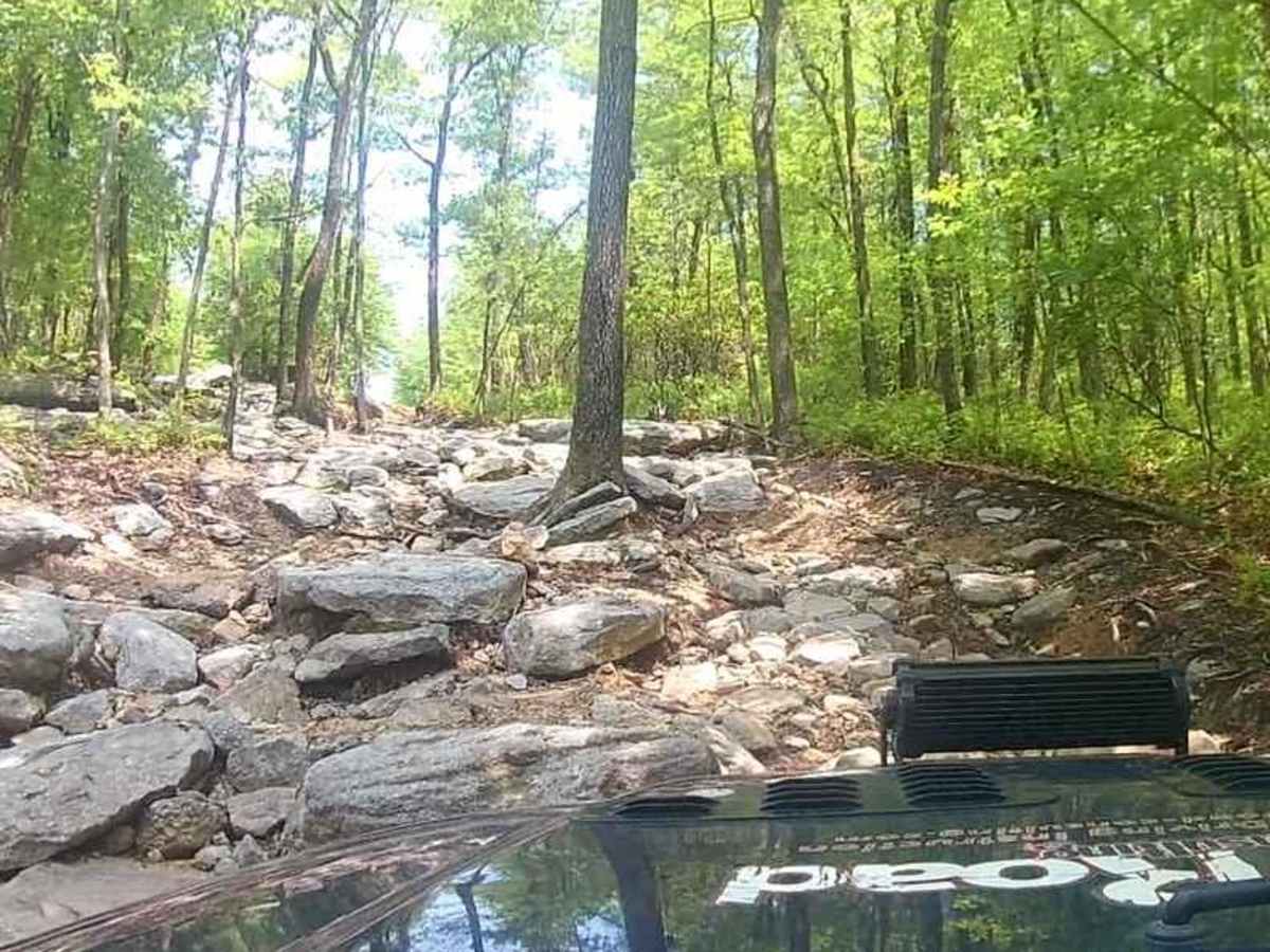 Stairstep Black trail photo