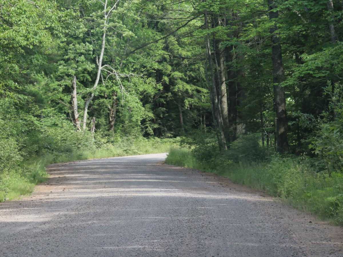 Pike Lake Road photo 4