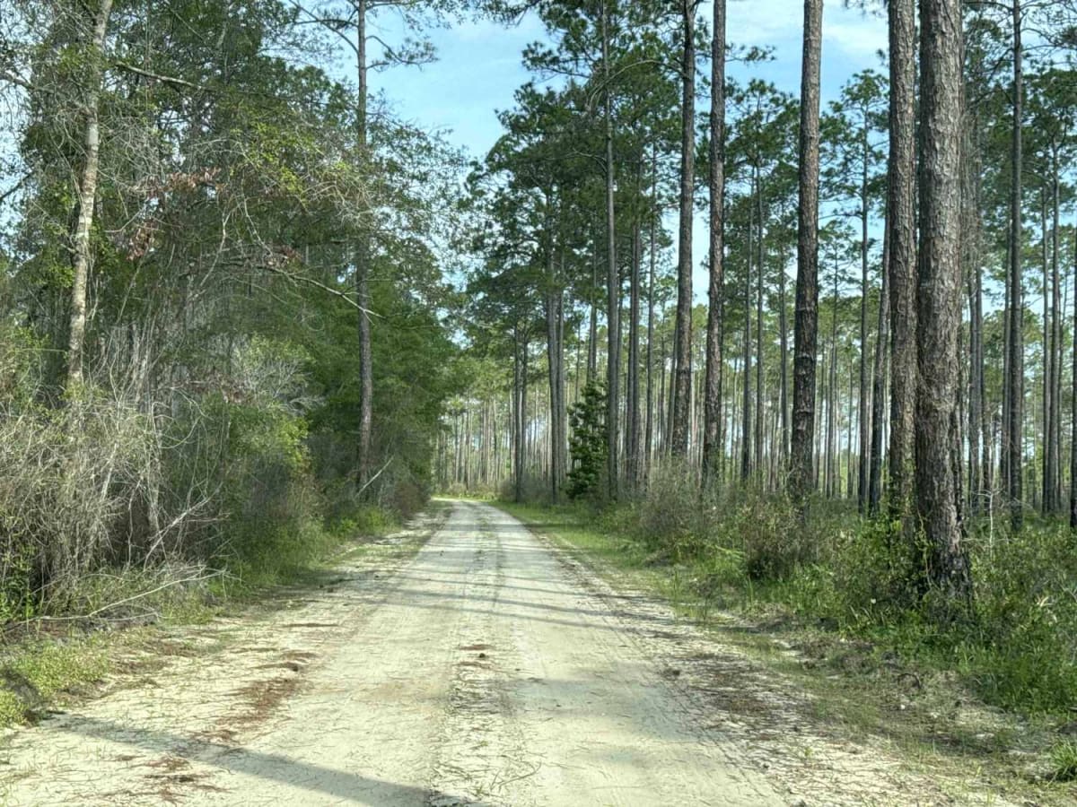 Billy's Road photo 2