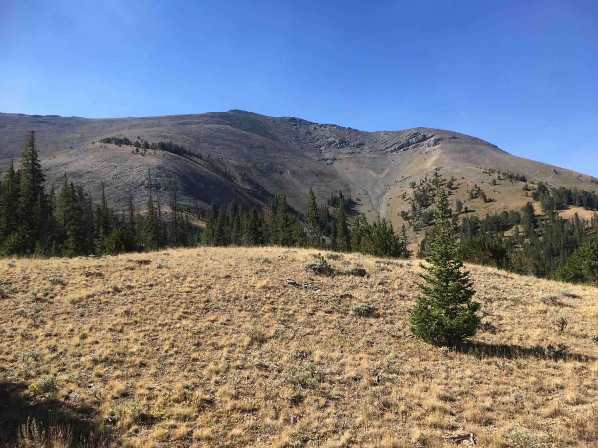 North Creek Trail trail photo