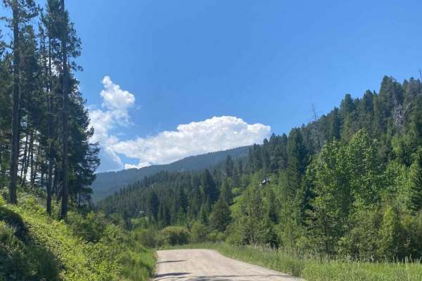 Goose Creek Trailhead