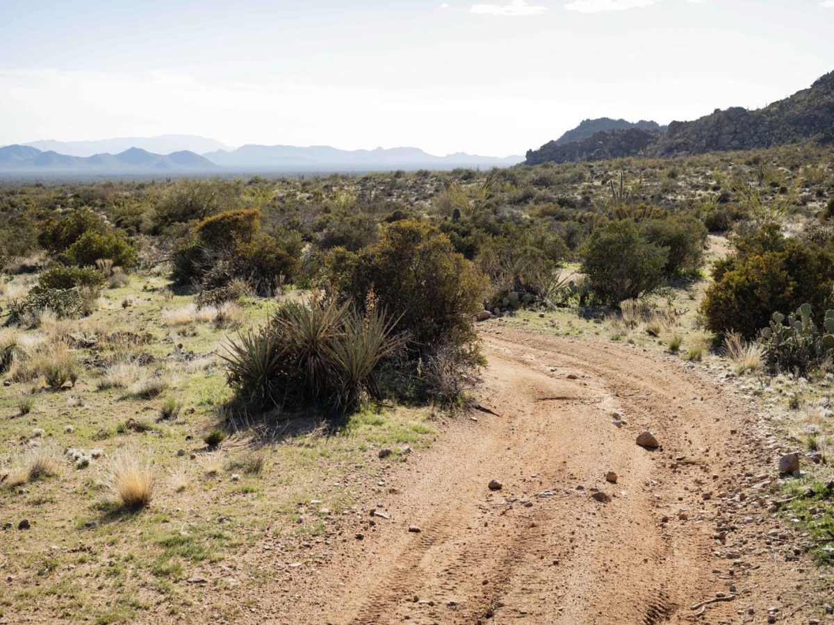 3380 Camp trail photo