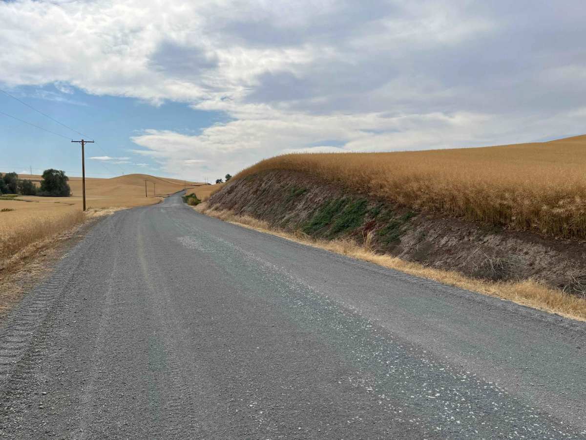 Rimrock Road photo 5