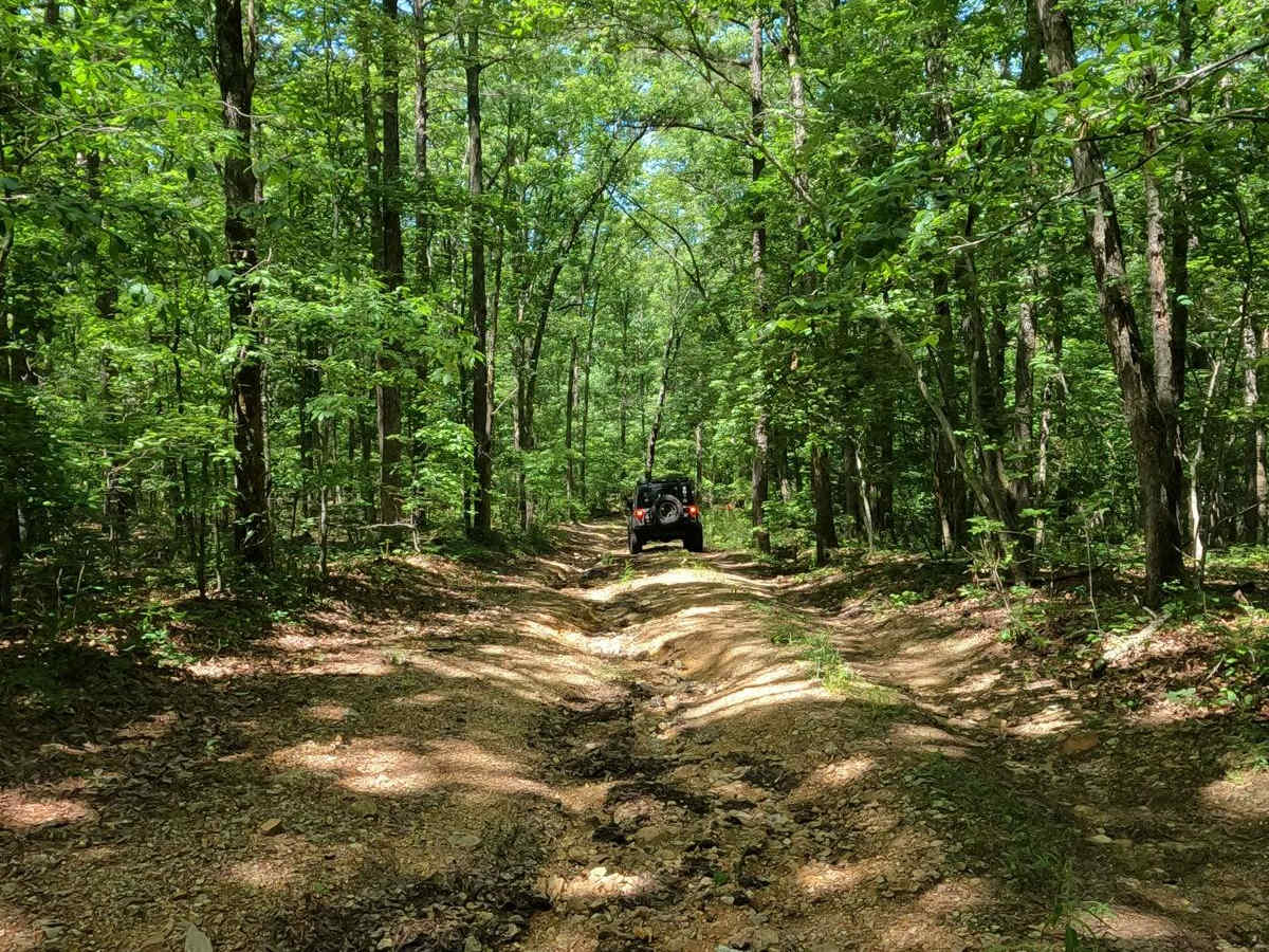 Reader Hollow FSR 2155 photo 3