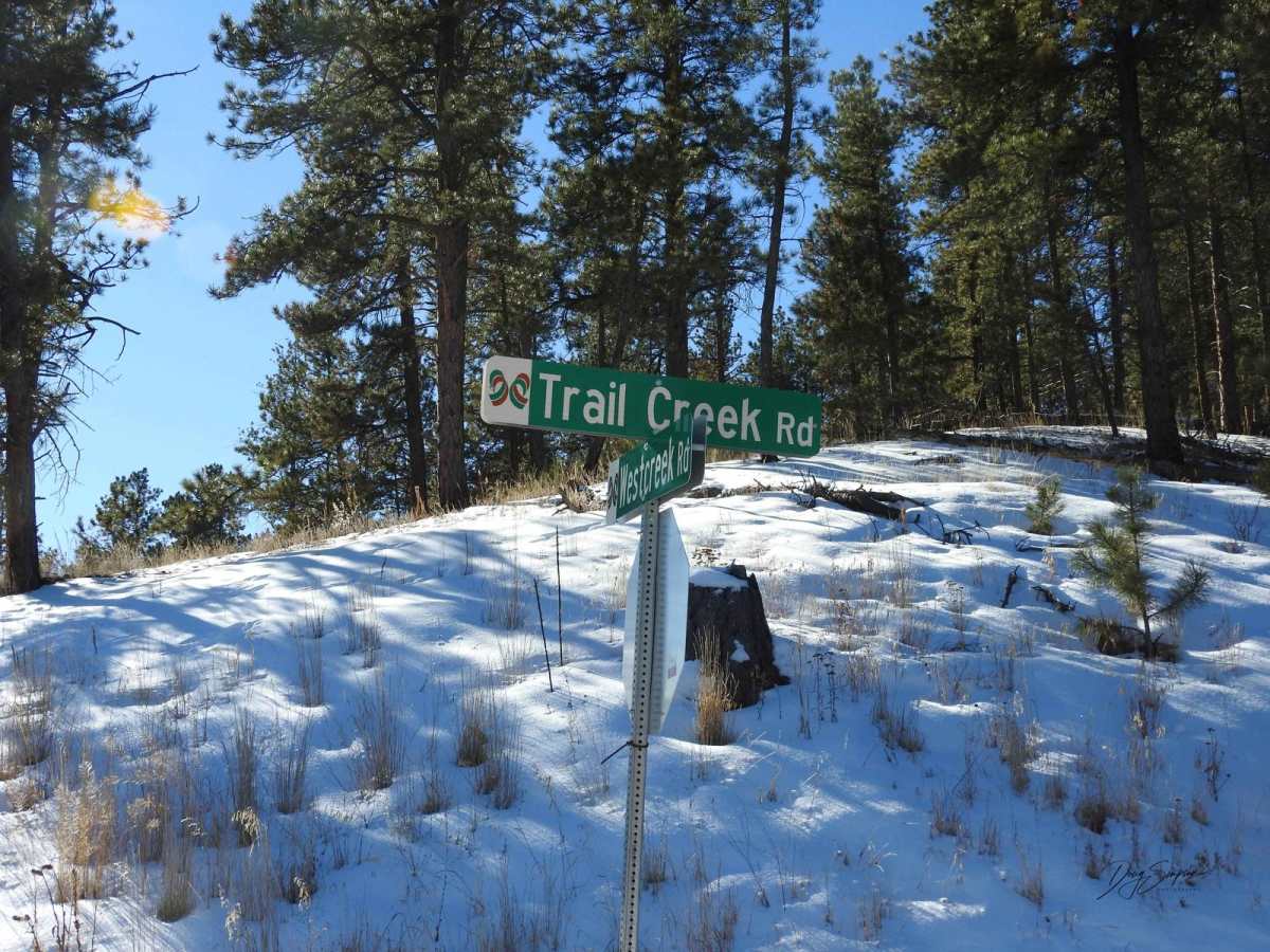 Trail Creek Road trail photo