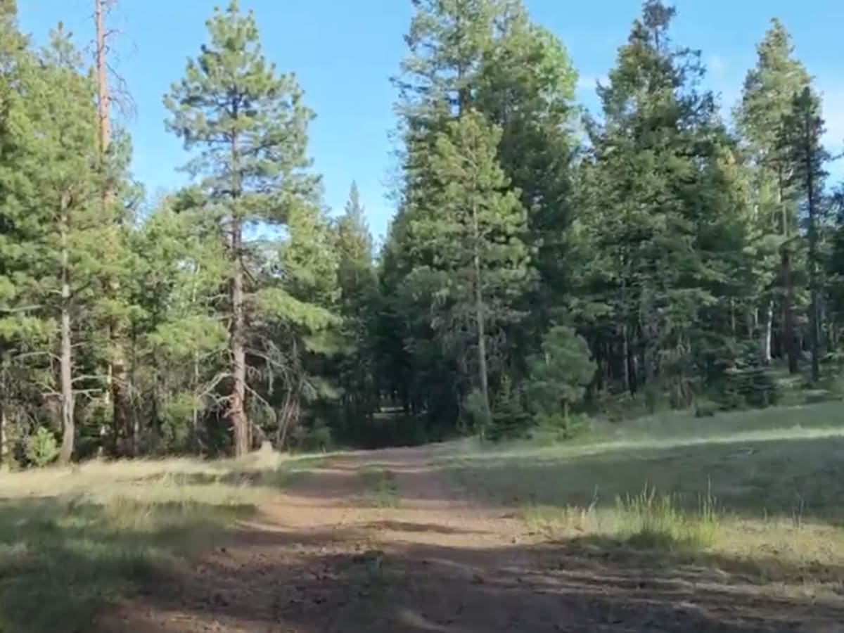 Oscar Schultz Loop photo 3