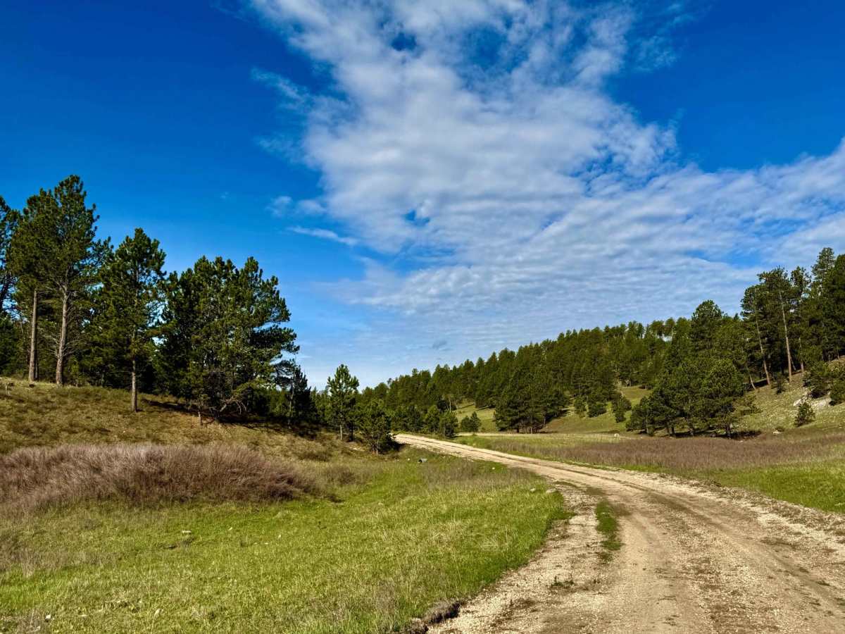 Gillette Canyon - FS 296 photo 6