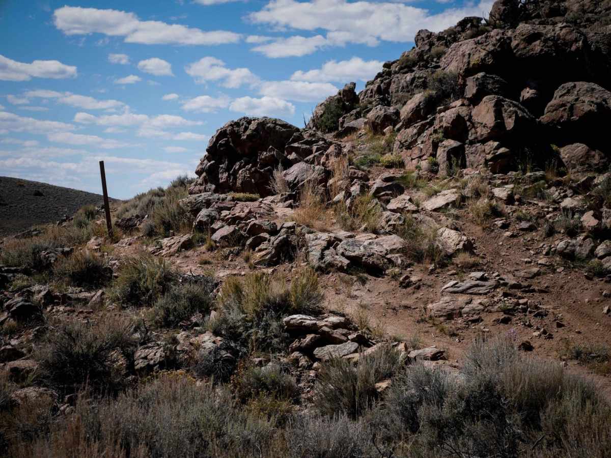 Goat Pasture photo 4