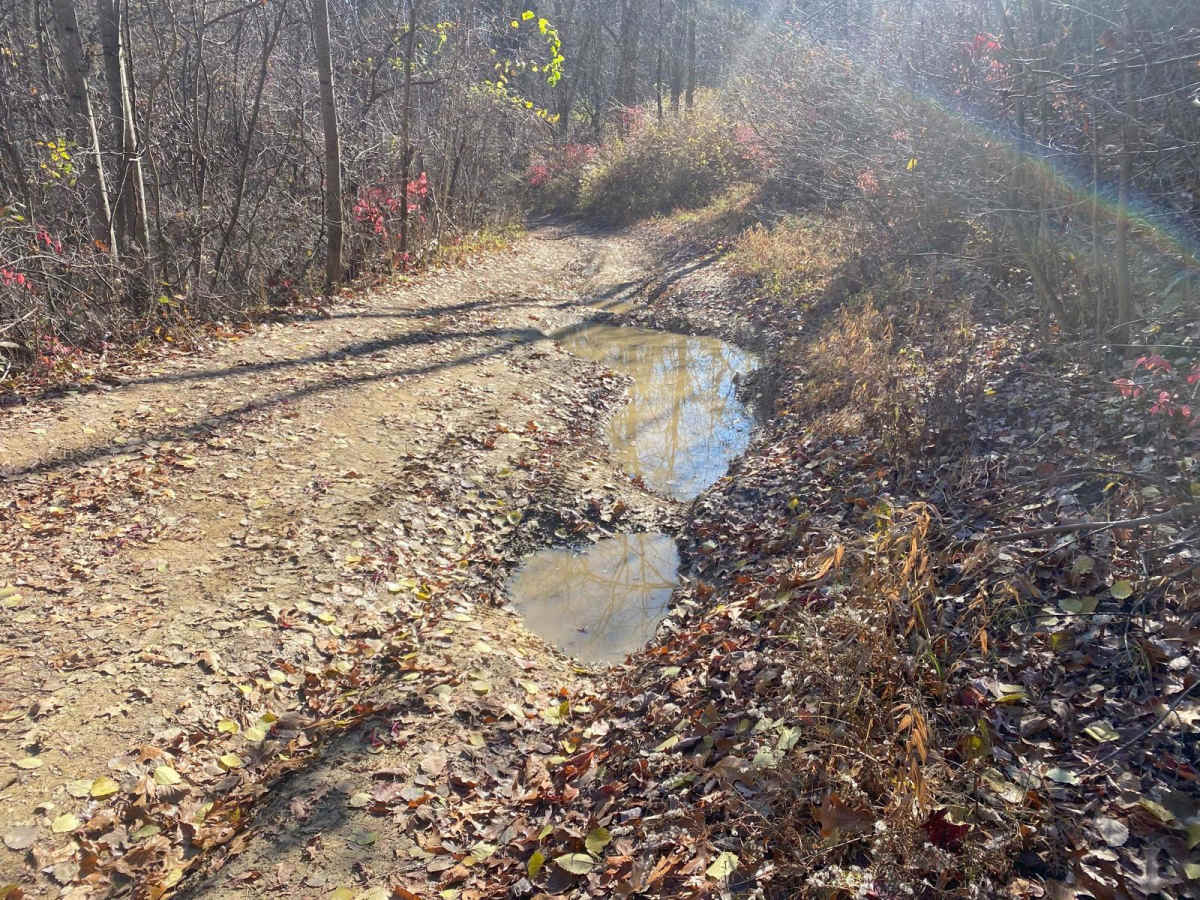 Pleasant Ridge Road - The Tar Hollow Trails photo 2