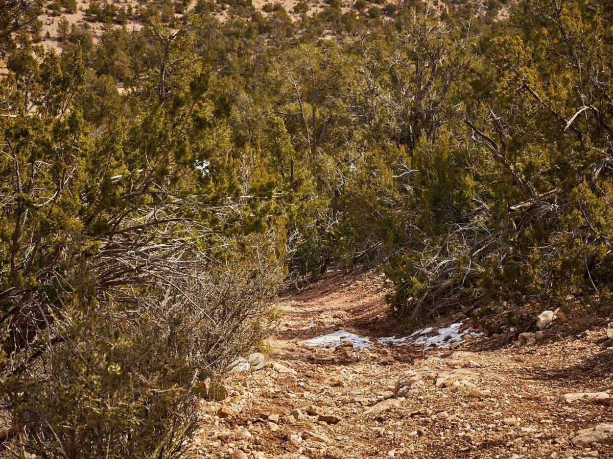 Ivan East photo 6