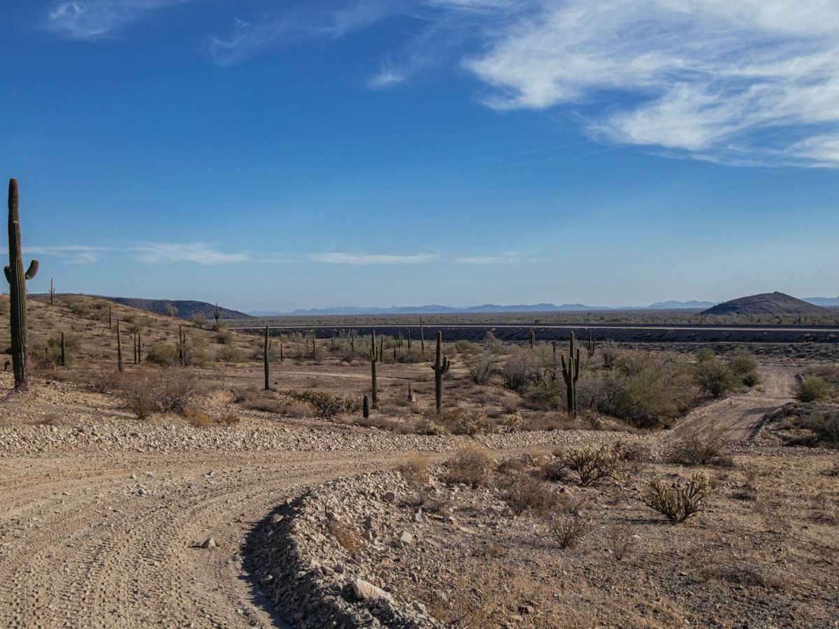 Saguaro Power trail photo