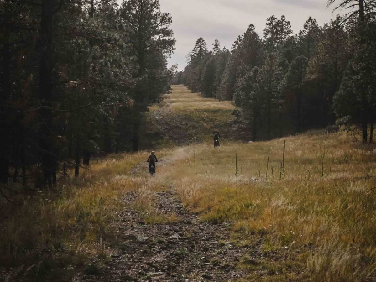 Pipeline photo 2