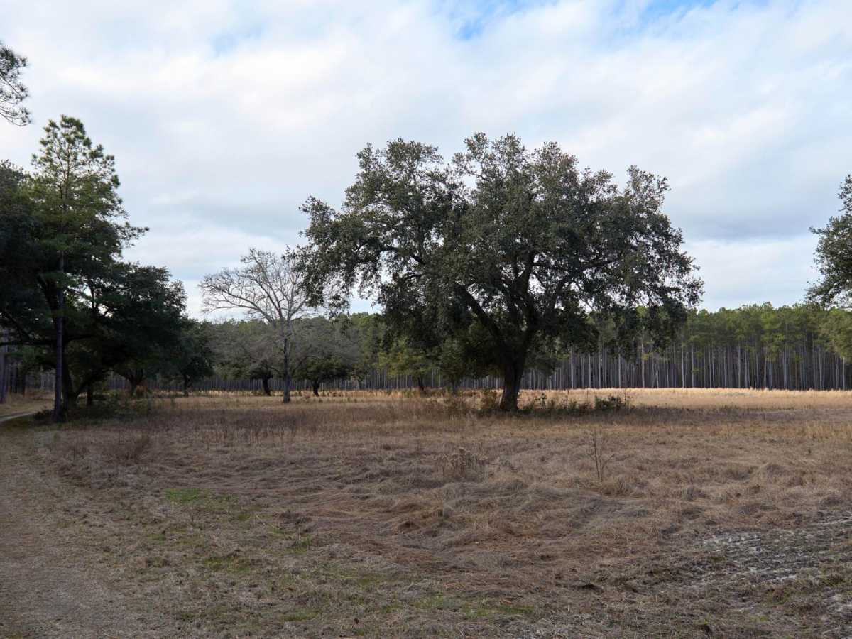 GW Roberts Road - Donnelly PT. 7 photo 3