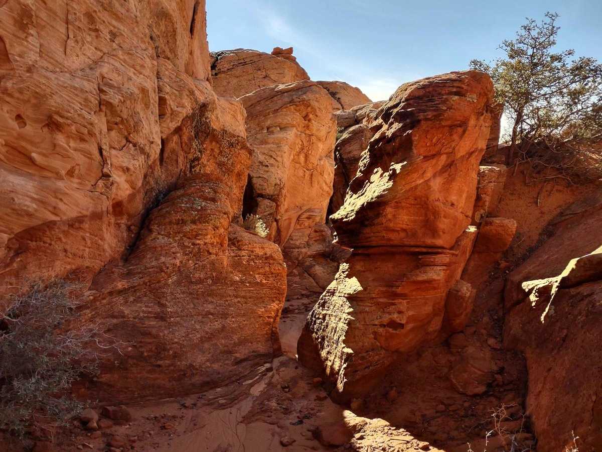 Red Cliffs Rec Area to Virgin River photo 6
