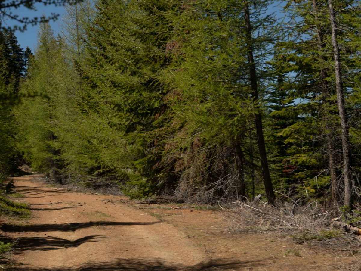 Manastash Road NF3100 photo 4
