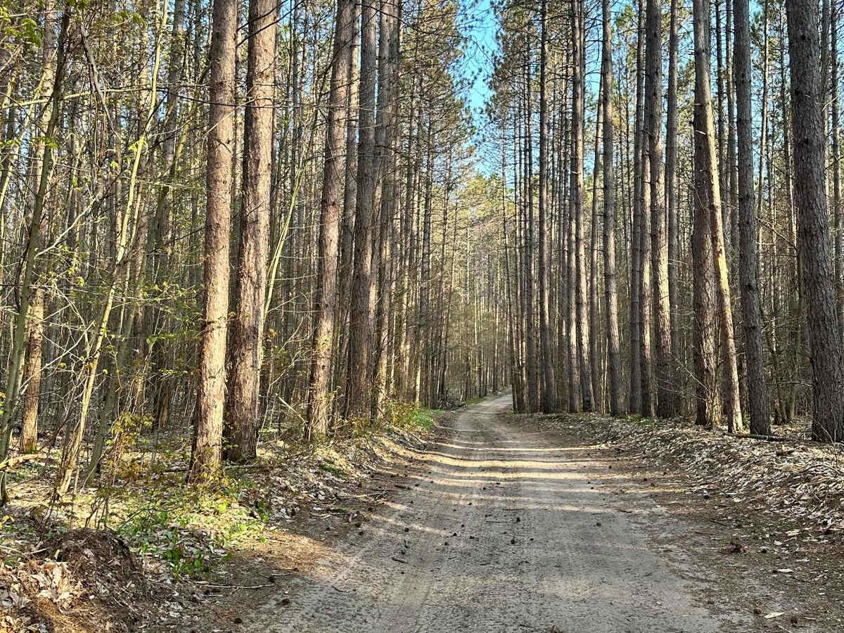 Cadillac Area ORV/OHV Scenic Ride - Part 4 photo 3