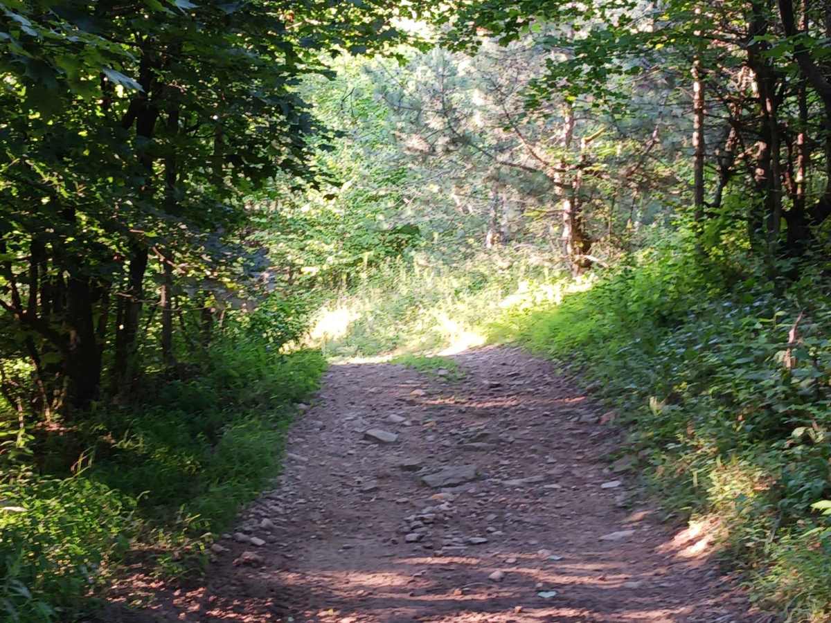 Trail 12C - Rock Run Recreation Area photo 5